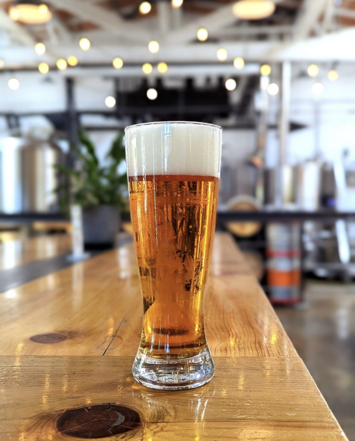 6 must try breweries- @northspurbrewing (2)