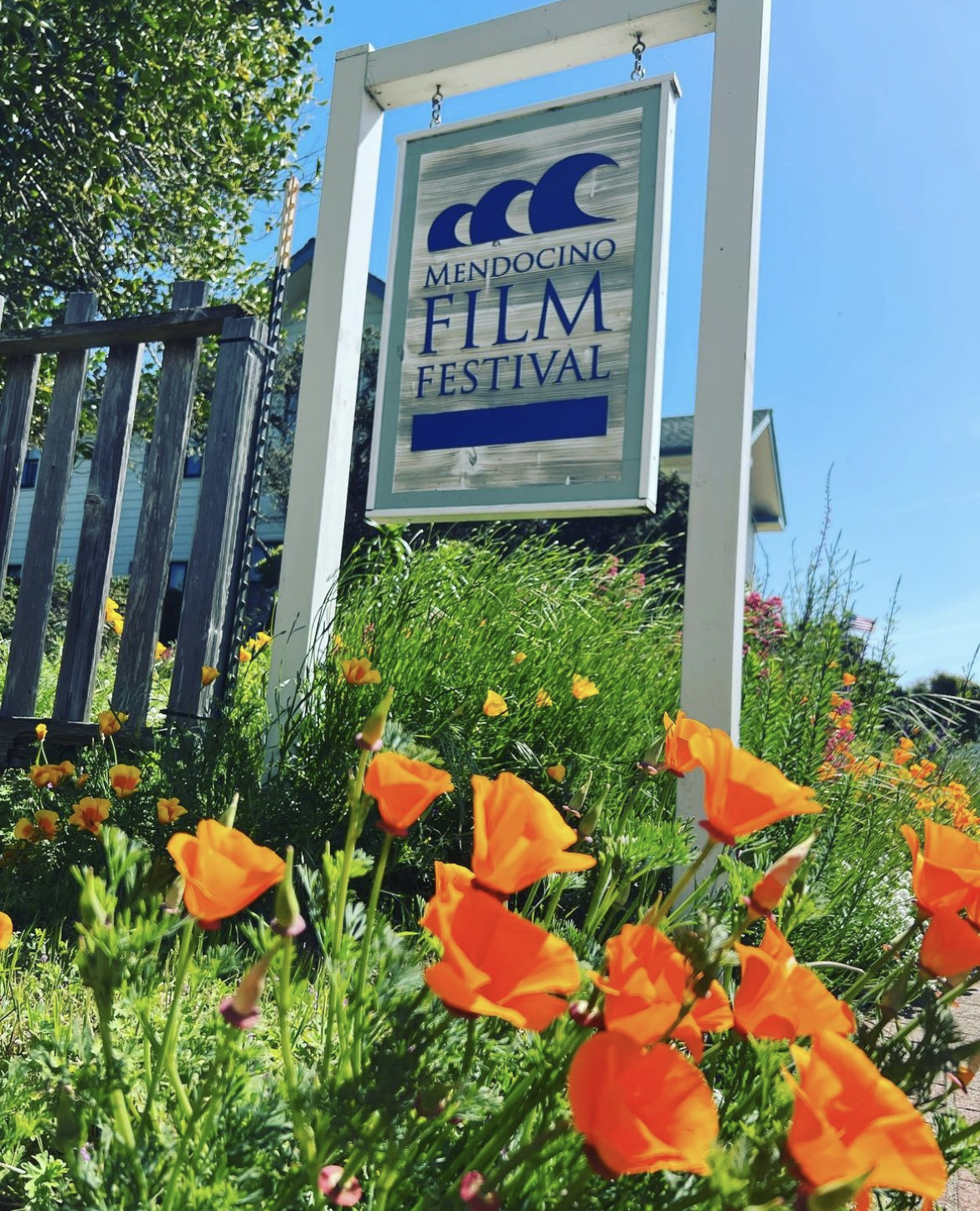 7 annual events- Mendo Film Festival- @mendocinofilmfestival