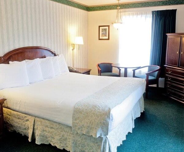 Emerald-Dolphin-Room.jpg