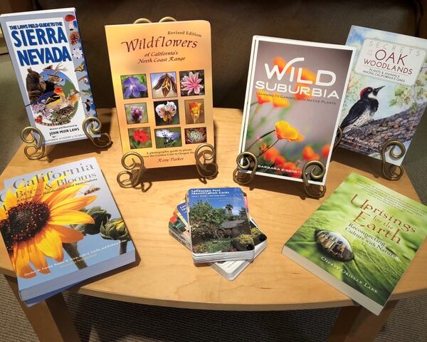 Gift Shop books