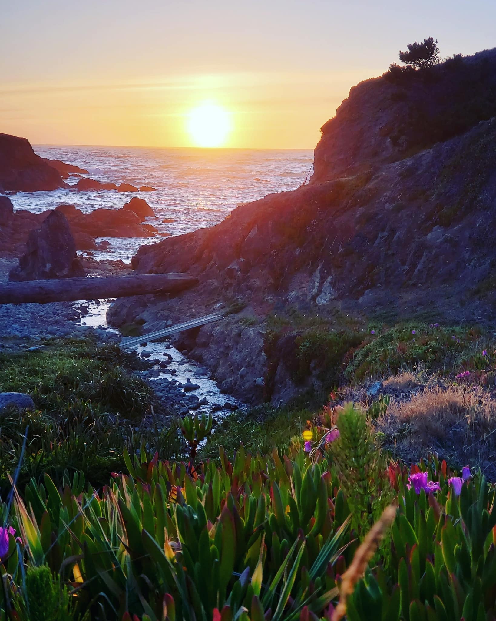 Holly's Ocean Medow view