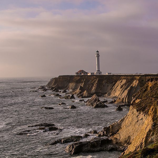 MENDO-6_credit-George-Rose_cro.jpg