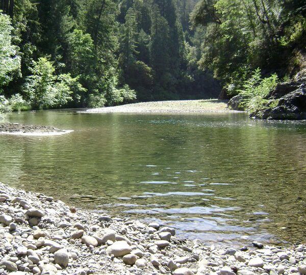 Navarro River