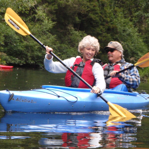 kayak on the river