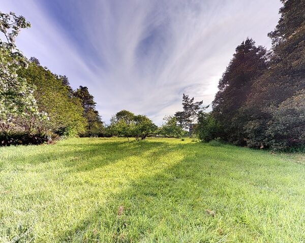 Orchard