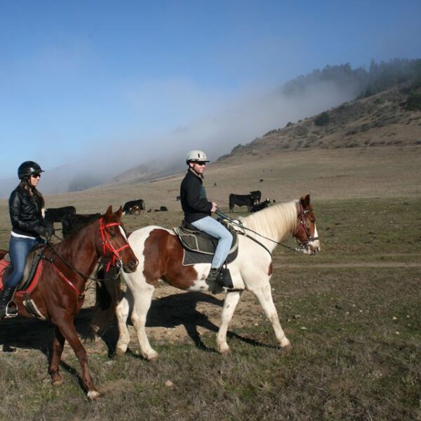 Ricochet-Ridge-Ranch-1.jpg
