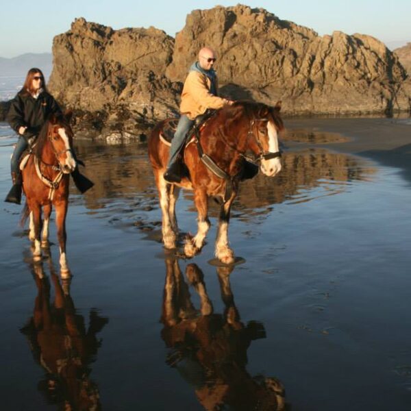 Ricochet-Ridge-Ranch.jpg